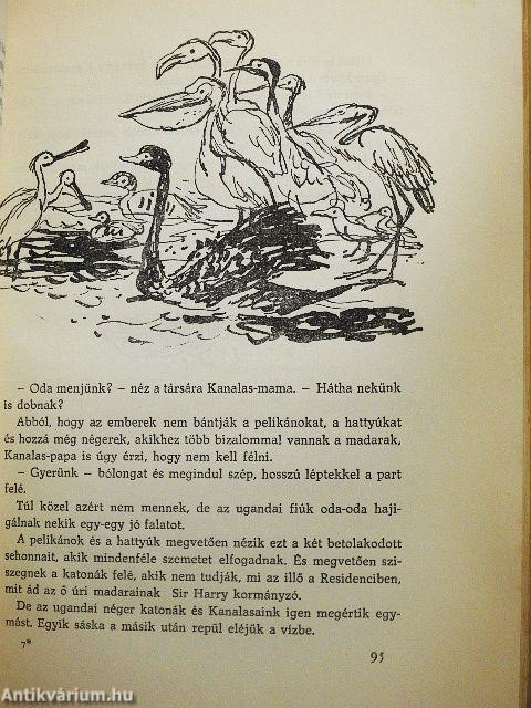 Afrikából jöttek...