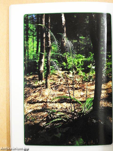 Kerka-mente Natúrpark