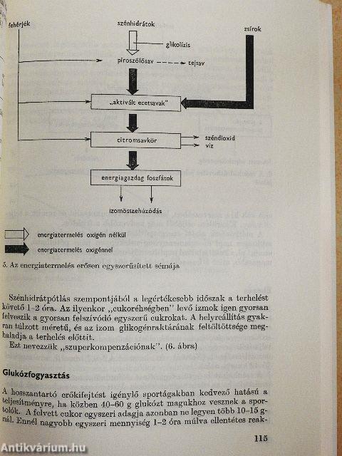 Sportjátékosok edzése