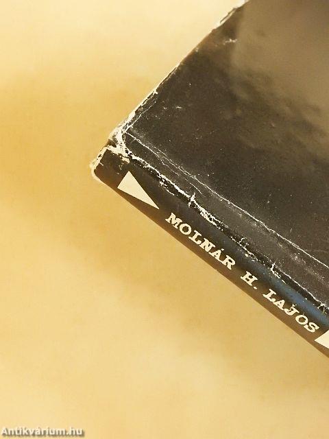 Falra hányt esztendő