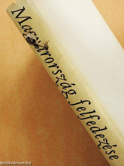 Külvárosi barangolás