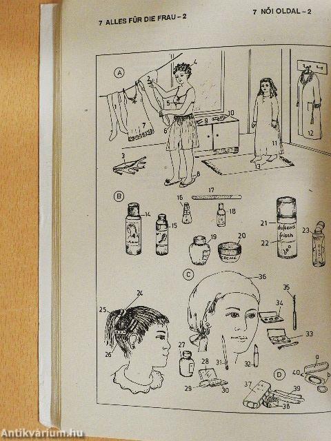 Képes német-magyar szótár