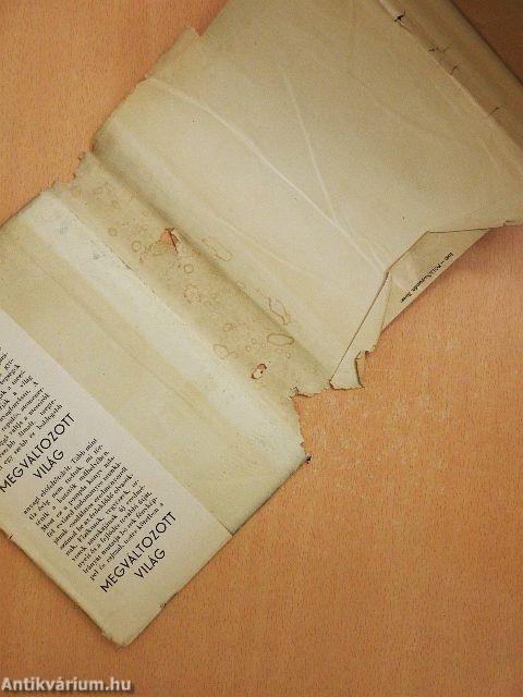 Megváltozott világ