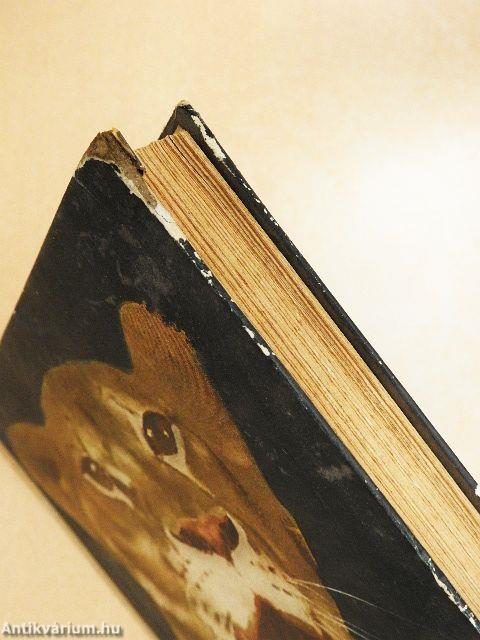 Kelet-Afrika vadonjaiban