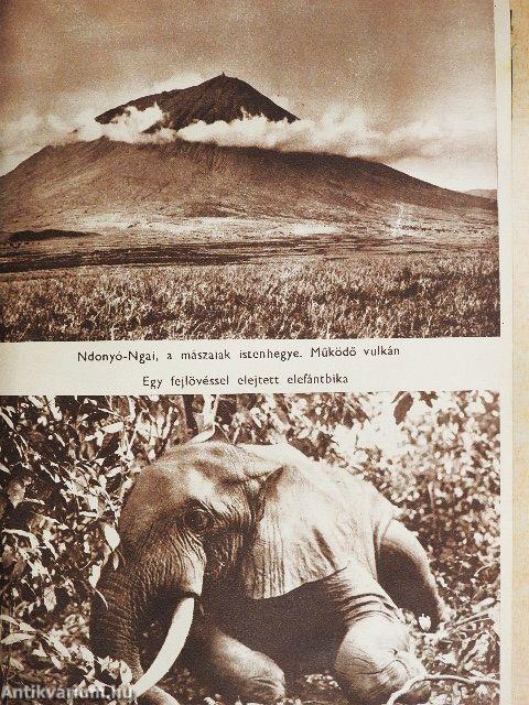 Kelet-Afrika vadonjaiban