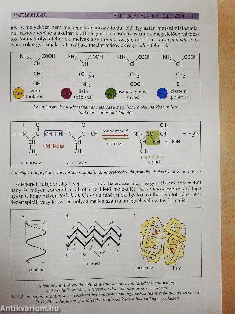 A változatos élővilág II.