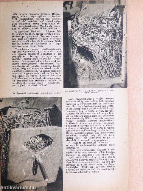 Búvár 1961. július-szeptember