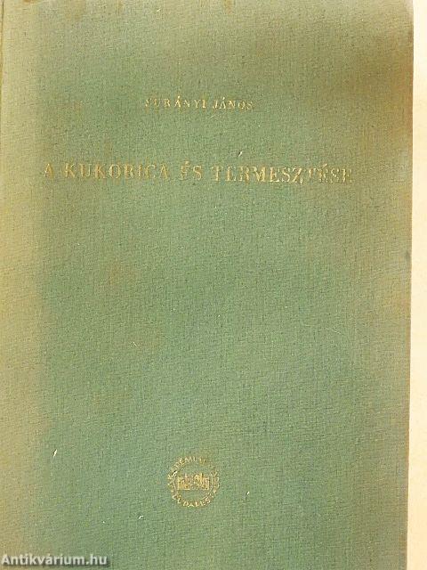 A kukorica és termesztése