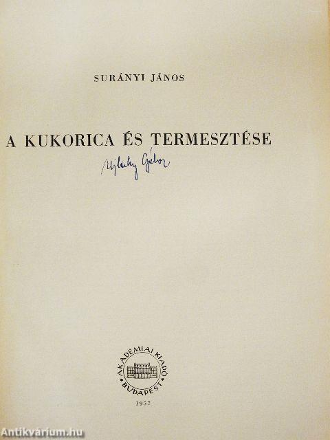 A kukorica és termesztése