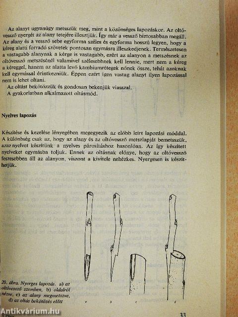 Oltás, szemzés, dugványozás