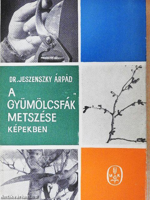 A gyümölcsfák metszése képekben