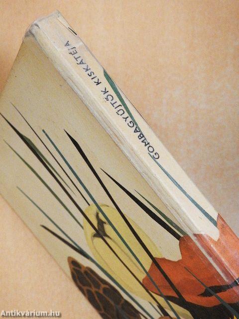 Gombagyűjtők kiskátéja