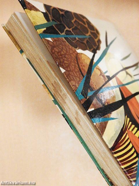 Gombagyűjtők kiskátéja