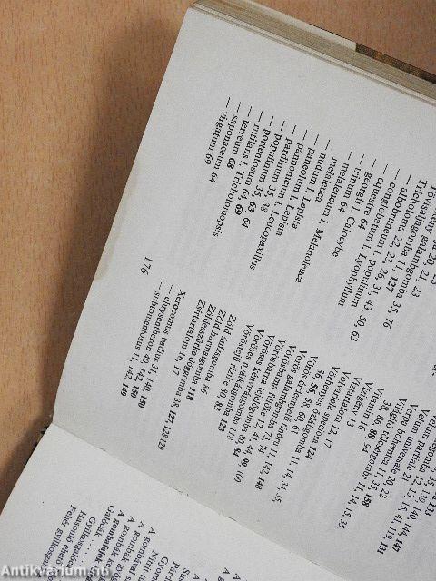 Gombagyűjtők kiskátéja