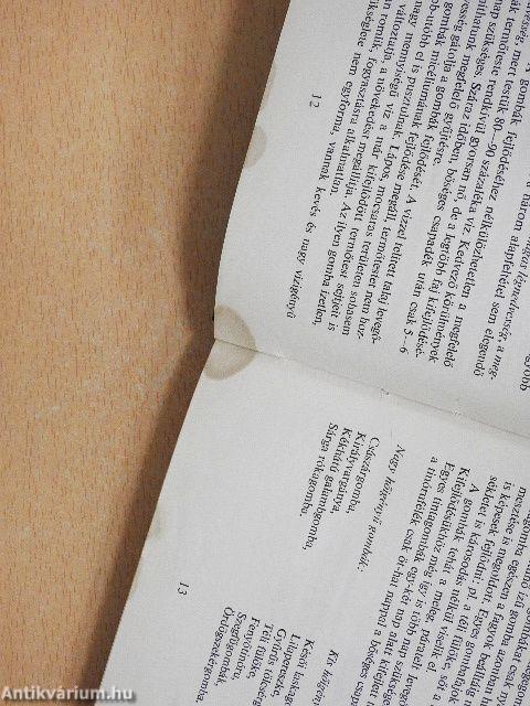 Gombagyűjtők kiskátéja