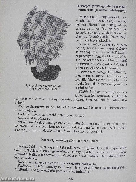 Gombagyűjtők kiskátéja