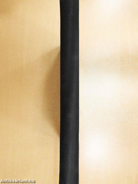 Der politische und soziale Lebenslauf der Völker I-II.(gótbetűs)