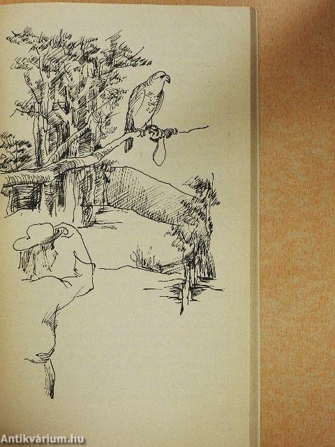 Aranydenevérek, rózsaszín galambok