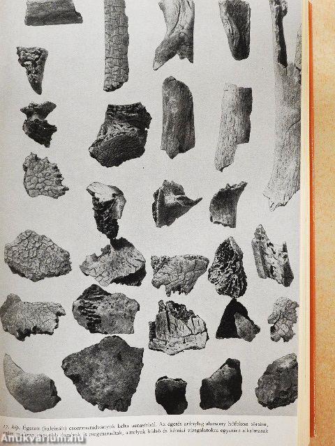 Sírok, csontok, emberek