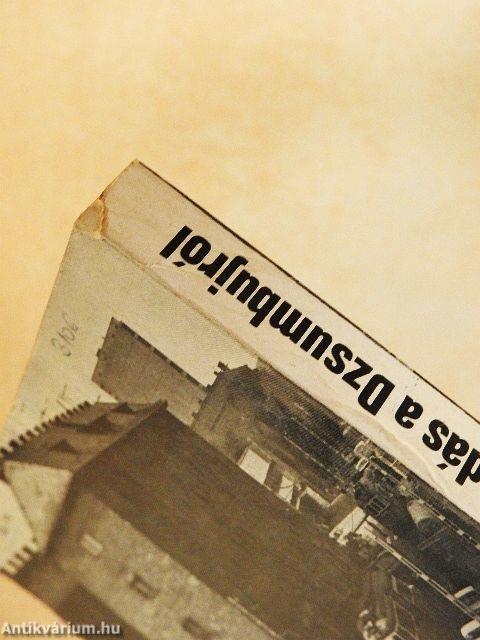 Híradás a Dzsumbujról