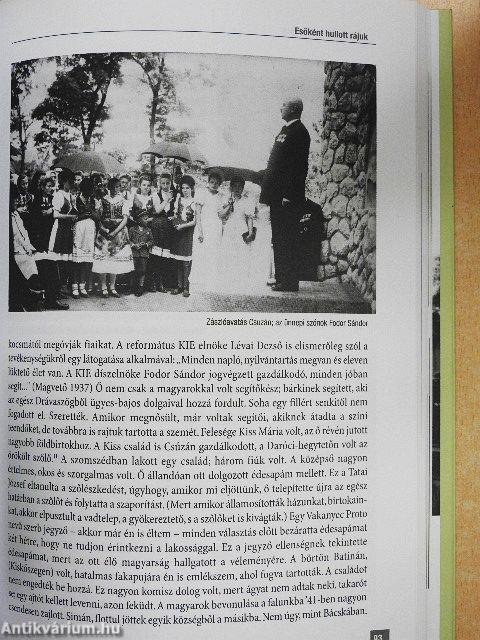 Földönfutók, hontalanok II.