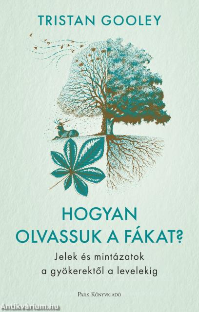 Hogyan olvassuk a fákat?