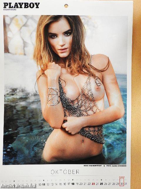 Playboy naptár 2015