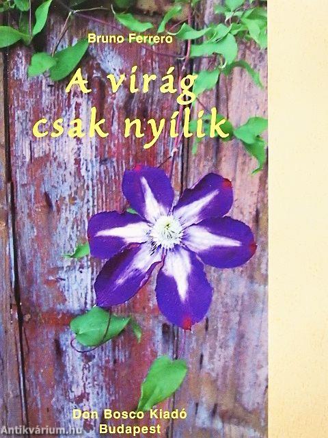 A virág csak nyílik