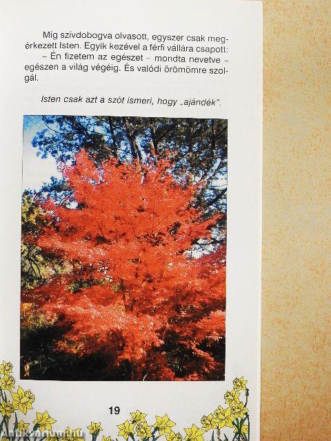 A virág csak nyílik