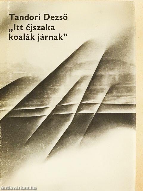 "Itt éjszaka koalák járnak"