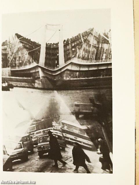 "Itt éjszaka koalák járnak"