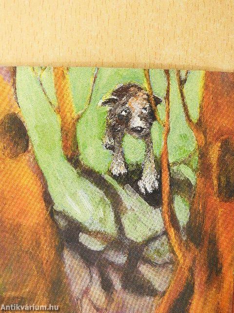 Der kleine Wolf, der husten musste