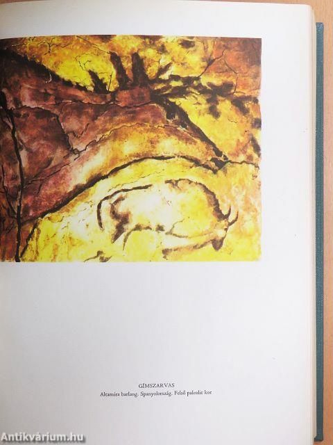 Világtörténet 1-10.