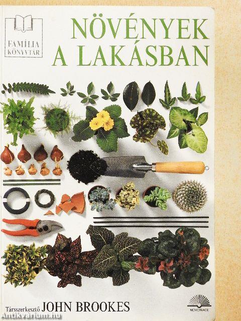 Növények a lakásban