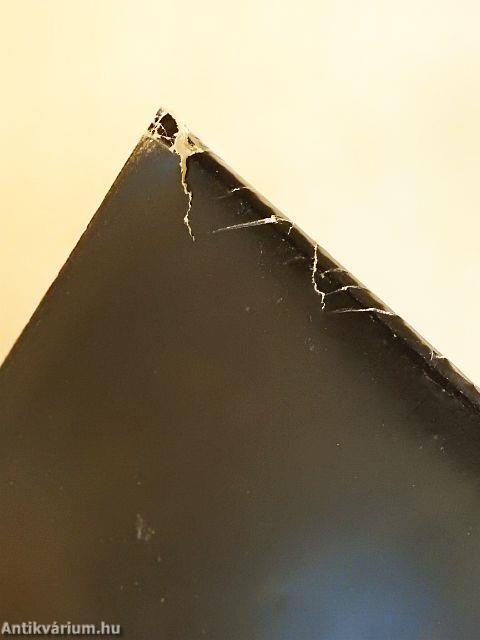 Gyógyfüvek, beszélő állatok