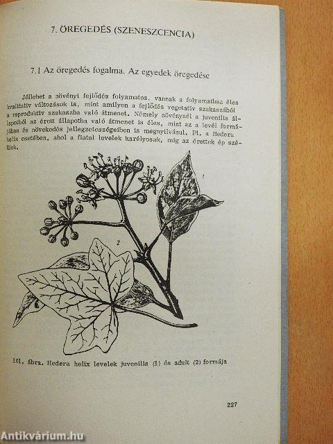 Növényélettan II.