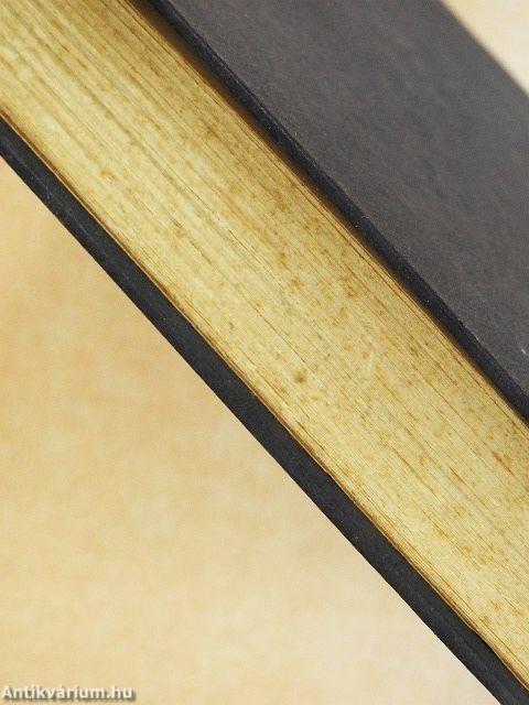 A város meg a sárkány