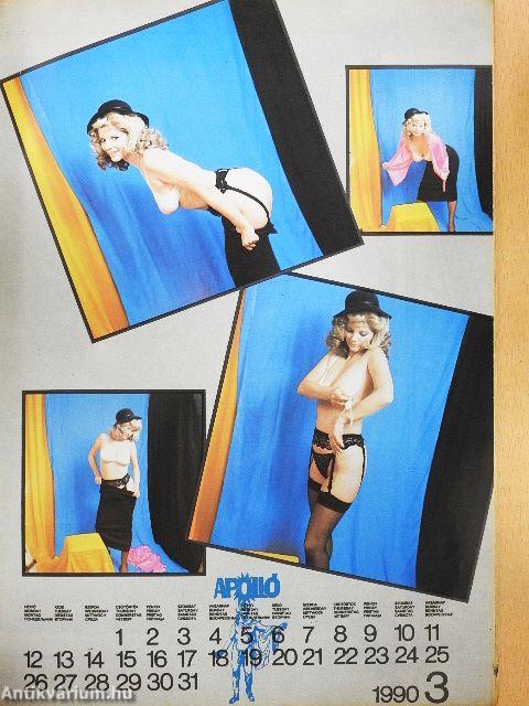 Apolló II. évfolyam 2. szám