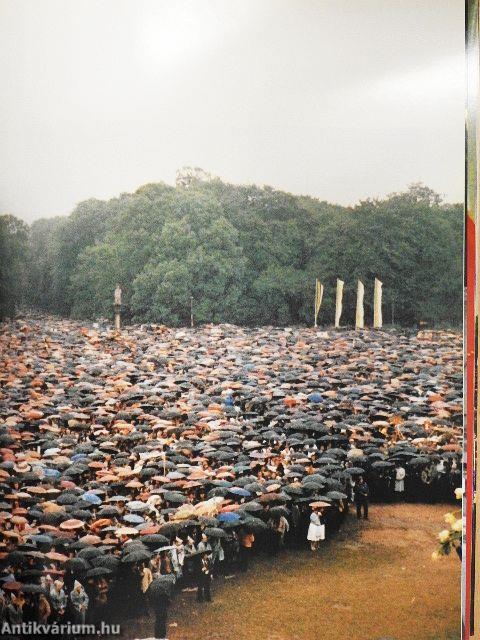 Jasnogórski Pielgrzym - Jan Pawel II