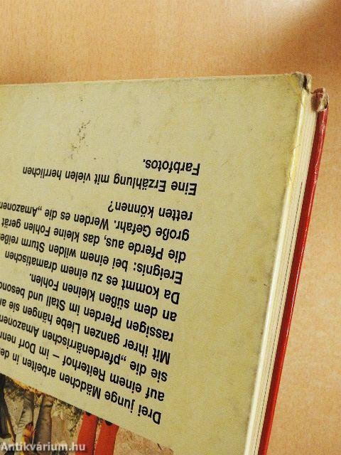 Wer rettet das hilflose Fohlen?