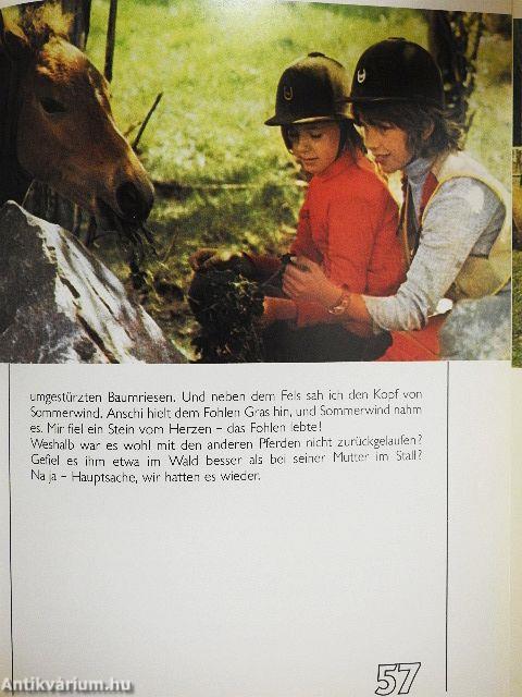 Wer rettet das hilflose Fohlen?