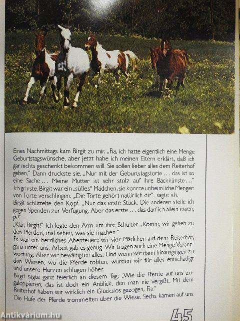 Wer rettet das hilflose Fohlen?