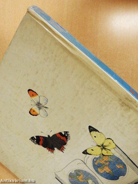 Halt die Augen Offen