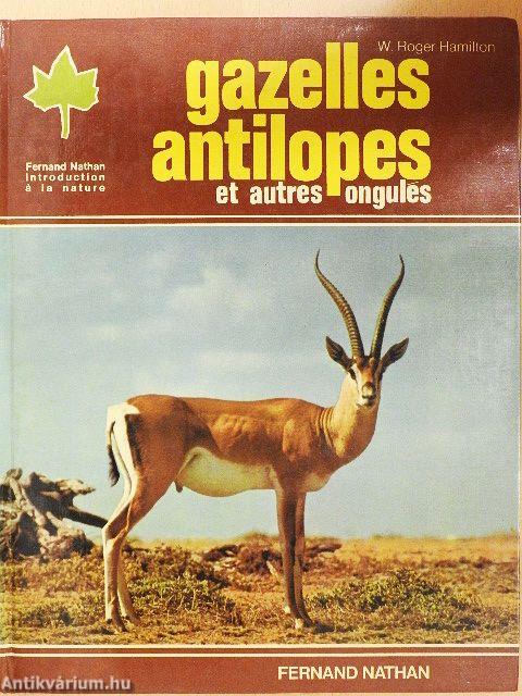 Gazelles antilopes et autres ongulés
