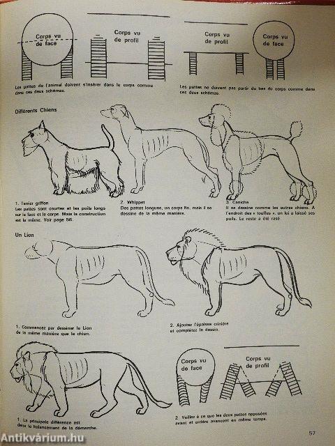 La vie des carnivores
