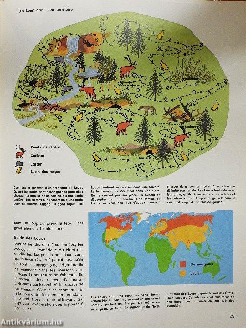 La vie des carnivores