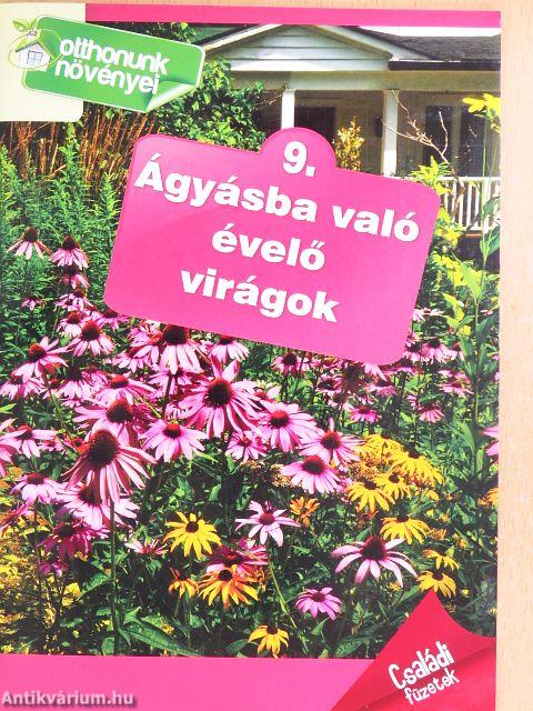 Ágyásba való évelő virágok