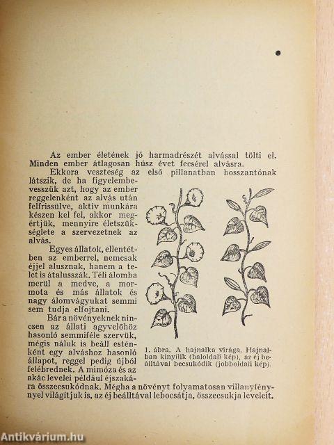 Az alvás és az álom