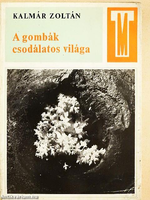 A gombák csodálatos világa