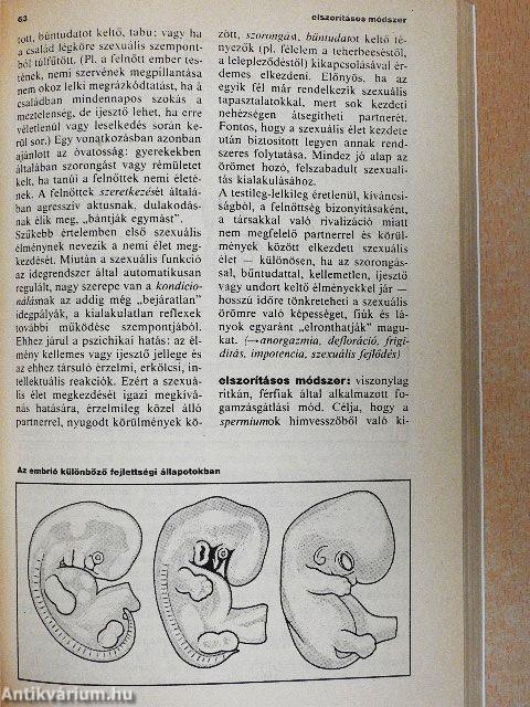 Lexikon a szerelemről